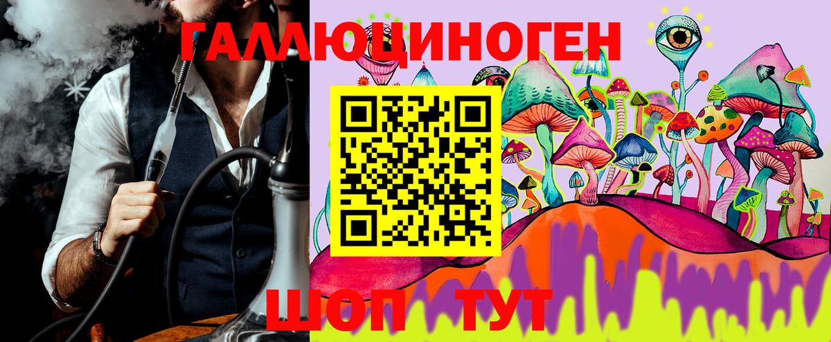 Псилоцибиновые грибы Psilocybe Белорецк